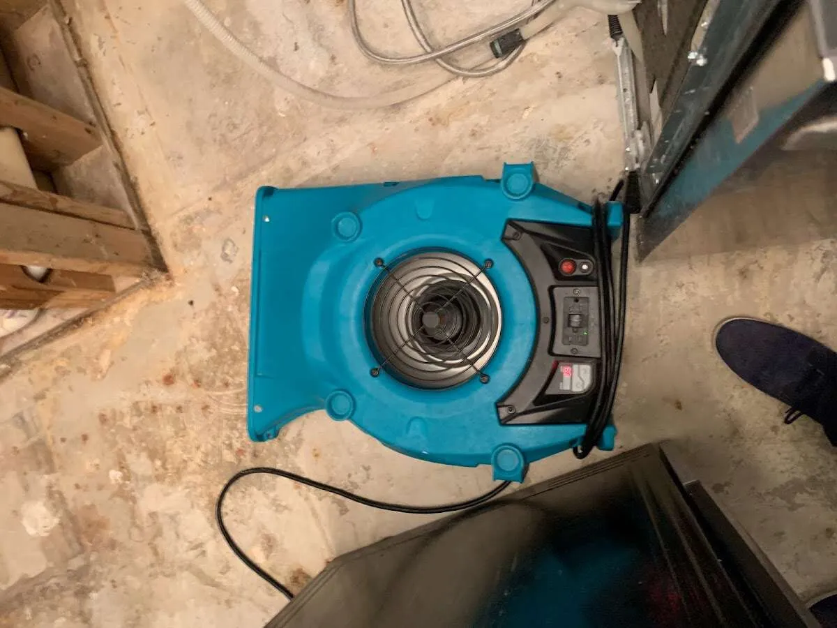 Air mover drying equipment for Mold Remediation & Removal in Jesup